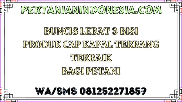 Buncis Lebat 3 Bisi Produk Cap Kapal Terbang Terbaik Bagi Petani